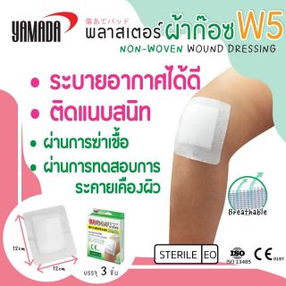 พลาสเตอร์ขนาดใหญ่